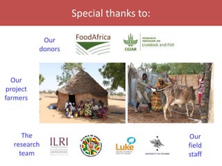 Senegal dairy genetics