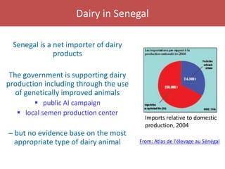 Senegal dairy genetics