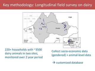 Senegal dairy genetics
