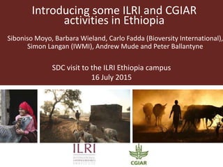 Introducing some ILRI and CGIAR
activities in Ethiopia
SDC visit to the ILRI Ethiopia campus
16 July 2015
Siboniso Moyo, Barbara Wieland, Carlo Fadda (Bioversity International),
Simon Langan (IWMI), Andrew Mude and Peter Ballantyne
 