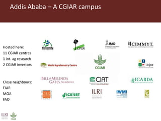 Addis Ababa – A CGIAR campus
Hosted here:
11 CGIAR centres
1 int. ag research
2 CGIAR investors
Close neighbours:
EIAR
MOA...