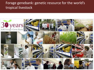 Introducing some ILRI and CGIAR activities in Ethiopia