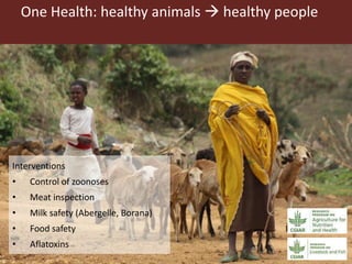 Introducing some ILRI and CGIAR activities in Ethiopia