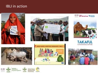 Introducing some ILRI and CGIAR activities in Ethiopia