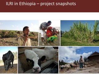 Introducing some ILRI and CGIAR activities in Ethiopia
