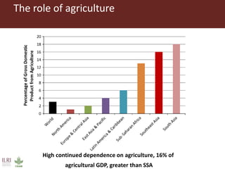 ILRI in East and Southeast Asia: Summary of current profile and emerging priorities for stakeholder feedback