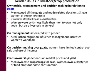 Making visible what is currently not visible: Experiences on generating evidence based results on integrating gender issues in projects