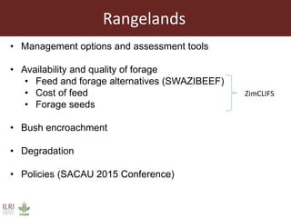 The livestock landscape and ILRI in Southern Africa