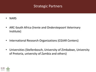 The livestock landscape and ILRI in Southern Africa