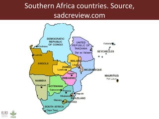 The livestock landscape and ILRI in Southern Africa