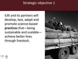 Livestock research for food security and poverty reduction: ILRI strategy 2013–2022