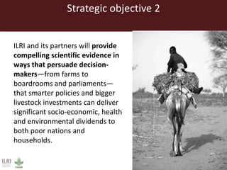 Livestock research for food security and poverty reduction: ILRI strategy 2013–2022