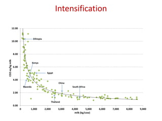 People, the planet and sustainable livestock