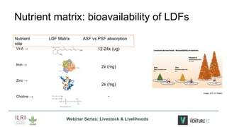 Leveraging Livestock to Combat Malnutrition: Perspectives from East Africa