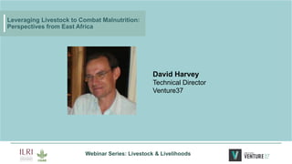 Leveraging Livestock to Combat Malnutrition: Perspectives from East Africa