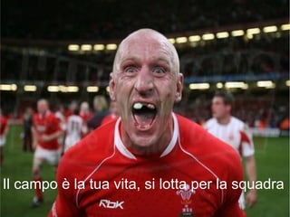Il campo è la tua vita, si lotta per la squadra
 
