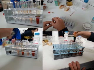 Il ruolo della chimica