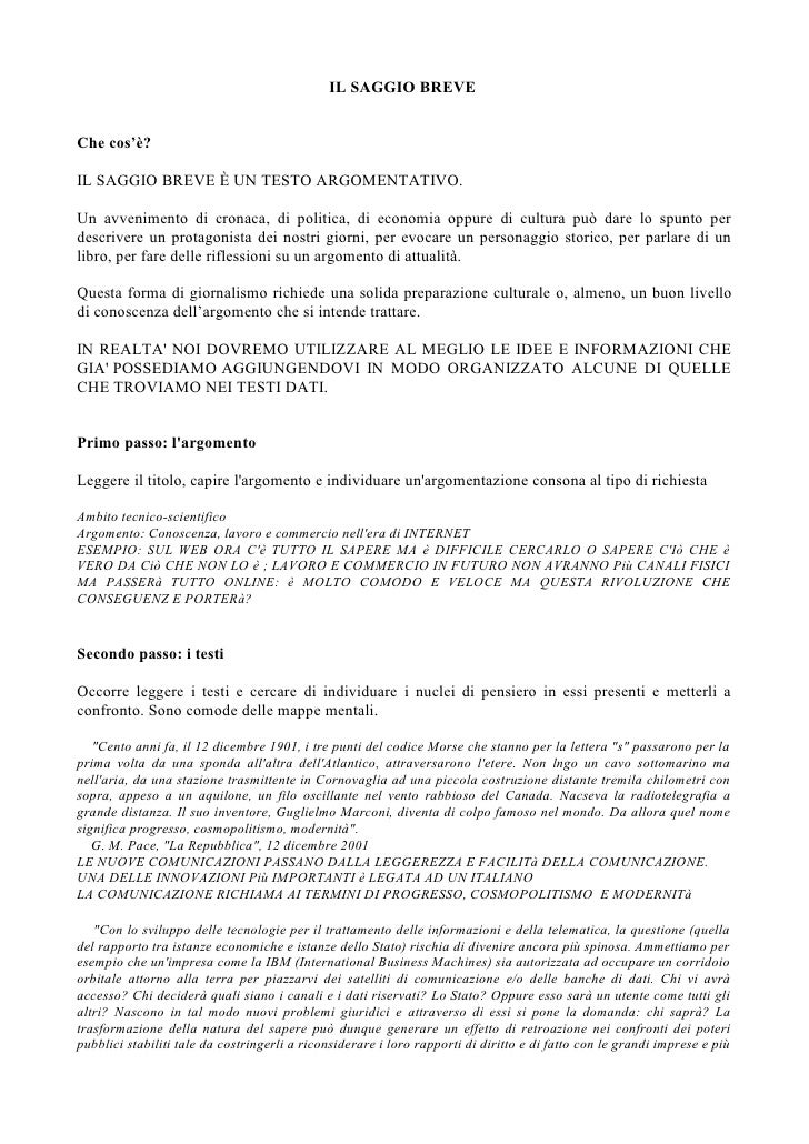 il saggio breve saggio breve