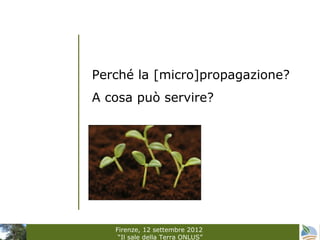 Perché la [micro]propagazione?
A cosa può servire?




   Firenze, 12 settembre 2012
    “Il sale della Terra ONLUS”
 