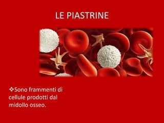 LE PIASTRINE
Sono frammenti di
cellule prodotti dal
midollo osseo.
 