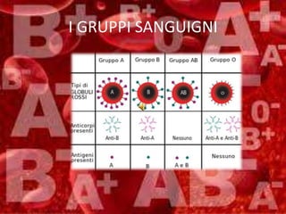 I GRUPPI SANGUIGNI
 