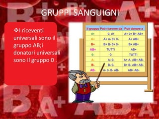 GRUPPI SANGUIGNI
I riceventi
universali sono il
gruppo AB;i
donatori universali
sono il gruppo 0 .
 