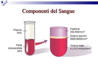 Componenti del SangueComponenti del Sangue
 