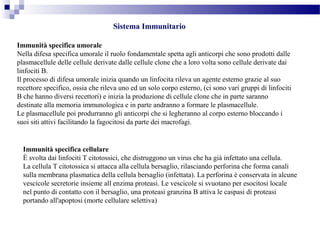 Sistema Immunitario
Immunità specifica umorale
Nella difesa specifica umorale il ruolo fondamentale spetta agli anticorpi che sono prodotti dalle
plasmacellule delle cellule derivate dalle cellule clone che a loro volta sono cellule derivate dai
linfociti B.
Il processo di difesa umorale inizia quando un linfocita rileva un agente esterno grazie al suo
recettore specifico, ossia che rileva uno ed un solo corpo esterno, (ci sono vari gruppi di linfociti
B che hanno diversi recettori) e inizia la produzione di cellule clone che in parte saranno
destinate alla memoria immunologica e in parte andranno a formare le plasmacellule.
Le plasmacellule poi produrranno gli anticorpi che si legheranno al corpo esterno bloccando i
suoi siti attivi facilitando la fagocitosi da parte dei macrofagi.
Immunità specifica cellulare
È svolta dai linfociti T citotossici, che distruggono un virus che ha già infettato una cellula.
La cellula T citotossica si attacca alla cellula bersaglio, rilasciando perforina che forma canali
sulla membrana plasmatica della cellula bersaglio (infettata). La perforina è conservata in alcune
vescicole secretorie insieme all enzima proteasi. Le vescicole si svuotano per esocitosi locale
nel punto di contatto con il bersaglio, una proteasi granzina B attiva le caspasi di proteasi
portando all'apoptosi (morte cellulare selettiva)
 