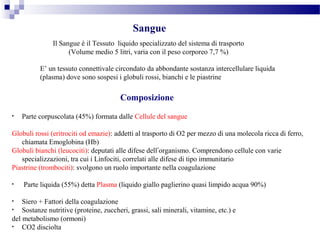 Sangue
E’ un tessuto connettivale circondato da abbondante sostanza intercellulare liquida
(plasma) dove sono sospesi i globuli rossi, bianchi e le piastrine
Il Sangue è il Tessuto liquido specializzato del sistema di trasporto
(Volume medio 5 litri, varia con il peso corporeo 7,7 %)
• Parte corpuscolata (45%) formata dalle Cellule del sangue
Globuli rossi (eritrociti od emazie): addetti al trasporto di O2 per mezzo di una molecola ricca di ferro,
chiamata Emoglobina (Hb)
Globuli bianchi (leucociti): deputati alle difese dell’organismo. Comprendono cellule con varie
specializzazioni, tra cui i Linfociti, correlati alle difese di tipo immunitario
Piastrine (trombociti): svolgono un ruolo importante nella coagulazione
• Parte liquida (55%) detta Plasma (liquido giallo paglierino quasi limpido acqua 90%)
• Siero + Fattori della coagulazione
• Sostanze nutritive (proteine, zuccheri, grassi, sali minerali, vitamine, etc.) e
del metabolismo (ormoni)
• CO2 disciolta
Composizione
 