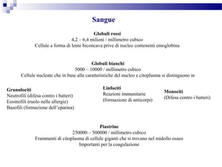 Sangue
Globuli bianchi
5000 – 10000 / millimetro cubico
Cellule nucleate che in base alle caratteristiche del nucleo e citoplasma si distinguono in
Globuli rossi
4,2 – 6,4 milioni / millimetro cubico
Cellule a forma di lente biconcava prive di nucleo contenenti emoglobina
Granulociti
Neutrofili (difesa contro i batteri)
Eosinofili (ruolo nelle allergie)
Basofili (formazione dell’eparina)
Linfociti
Reazioni immunitarie
(formazione di anticorpi)
Monociti
(Difesa contro i batteri)
Piastrine
250000 – 500000 / millimetro cubico
Frammenti di citoplasma di cellule giganti che si trovano nel midollo osseo
Importanti per la coagulazione
 