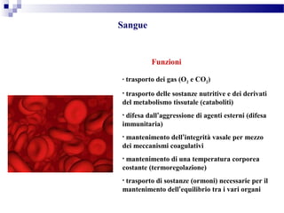 Funzioni
• trasporto dei gas (O2 e CO2)
• trasporto delle sostanze nutritive e dei derivati
del metabolismo tissutale (cataboliti)
• difesa dall’aggressione di agenti esterni (difesa
immunitaria)
• mantenimento dell’integrità vasale per mezzo
dei meccanismi coagulativi
• mantenimento di una temperatura corporea
costante (termoregolazione)
• trasporto di sostanze (ormoni) necessarie per il
mantenimento dell’equilibrio tra i vari organi
Sangue
 