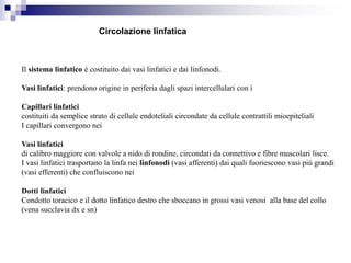 Circolazione linfatica
Il sistema linfatico è costituito dai vasi linfatici e dai linfonodi.
Vasi linfatici: prendono origine in periferia dagli spazi intercellulari con i
Capillari linfatici
costituiti da semplice strato di cellule endoteliali circondate da cellule contrattili mioepiteliali
I capillari convergono nei
Vasi linfatici
di calibro maggiore con valvole a nido di rondine, circondati da connettivo e fibre muscolari lisce.
I vasi linfatici trasportano la linfa nei linfonodi (vasi afferenti) dai quali fuoriescono vasi più grandi
(vasi efferenti) che confluiscono nei
Dotti linfatici
Condotto toracico e il dotto linfatico destro che sboccano in grossi vasi venosi alla base del collo
(vena succlavia dx e sn)
 