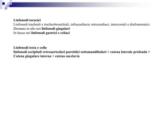 Linfonodi toracici
Linfonodi tracheali e tracheobronchiali, infracardiacie retrocardiaci, intercostali e diaframmatici
Drenano in alto nei linfonodi giugulari
In basso nei linfonodi gastrici e celiaci
Linfonodi testa e collo
linfonodi occipitali retroauricolari parotidei sottomandibolari > catena laterale profonda >
Catena giugulare interna > catena succlavia
 