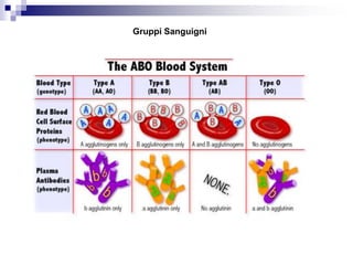 Gruppi Sanguigni
 