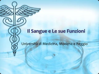 Università di Medicina, Modena e Reggio
 