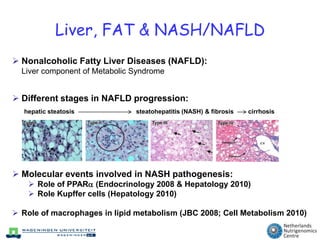 Liver, FAT & NASH/NAFLDNonalcoholic Fatty Liver Diseases (NAFLD):Liver component of Metabolic Syndrome