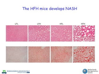 Role of PPARa (Endocrinology 2008 & Hepatology 2010)