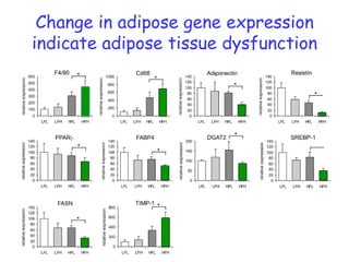 stratification on body weightfrozen sections: histological feat.lipid contentRNA extraction:Affx microarrays10 LFD0248121620 weeks20 LFD-3quality control & data analysis pipeline10 HFDMouse  genome 430 2.010% low fat diet (palm oil)45% high fat diet (palm oil)ep. white adipose tissueparaffin sections: histological feat.RNA extraction: real-time PCR