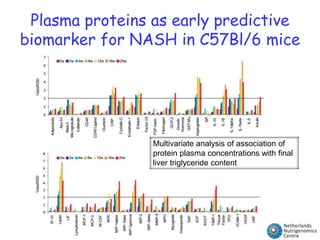 The HFH mice develops NASH