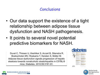 Immunohistochemicalstaining confirms enhanced liver inflammation and early fibrosis in HFH miceMacrophage CD68CollagenStellate cell GFAP