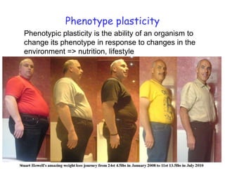 Phenotype plasticity	Phenotypic plasticity is the ability of an organism to change its phenotype in response to changes in the environment => nutrition, lifestyle