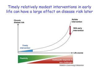 Timelyrelatively modest interventions in early life can have a large effect on disease risk later