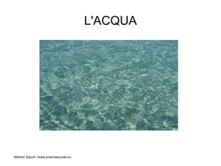 L'ACQUA




Martino Sacchi /www.ariannascuola.eu
 