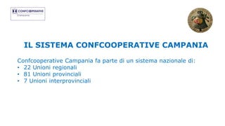 IL SISTEMA CONFCOOPERATIVE CAMPANIA
Confcooperative Campania fa parte di un sistema nazionale di:
• 22 Unioni regionali
• 81 Unioni provinciali
• 7 Unioni interprovinciali
 