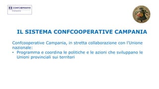 IL SISTEMA CONFCOOPERATIVE CAMPANIA
Confcooperative Campania, in stretta collaborazione con l’Unione
nazionale:
• Programma e coordina le politiche e le azioni che sviluppano le
Unioni provinciali sui territori
 