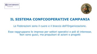 IL SISTEMA CONFCOOPERATIVE CAMPANIA
Le Federazioni sono il cuore e il braccio dell’Organizzazione.
Esse raggruppano le imprese per settori operativi e poli di interesse.
Non sono gusci, ma propulsori di azioni e progetti
 