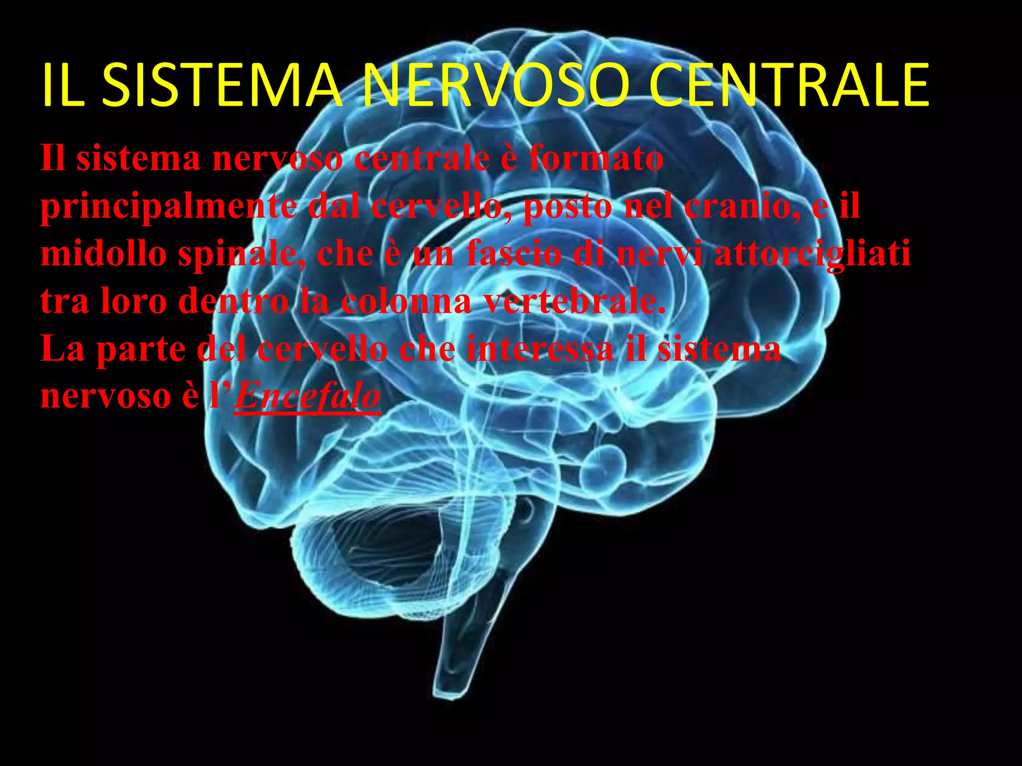 Lush Elettronica: Dentro Il