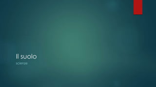 Il suolo
scienze
 