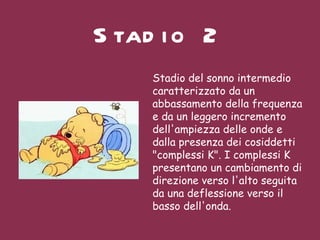 Stadio 2   Stadio del sonno intermedio  caratterizzato da un abbassamento della frequenza e da un leggero incremento dell'ampiezza delle onde e dalla presenza dei cosiddetti "complessi K". I complessi K presentano un cambiamento di direzione verso l'alto seguita da una deflessione verso il basso dell'onda. 