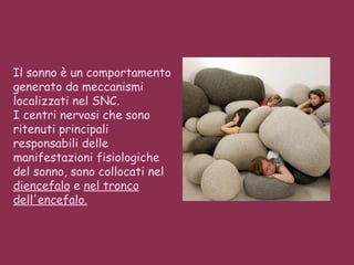 Il sonno è un comportamento generato da meccanismi localizzati nel SNC.  I centri nervosi che sono ritenuti principali responsabili delle manifestazioni fisiologiche del sonno, sono collocati nel  diencefalo  e  nel tronco dell'encefalo. 